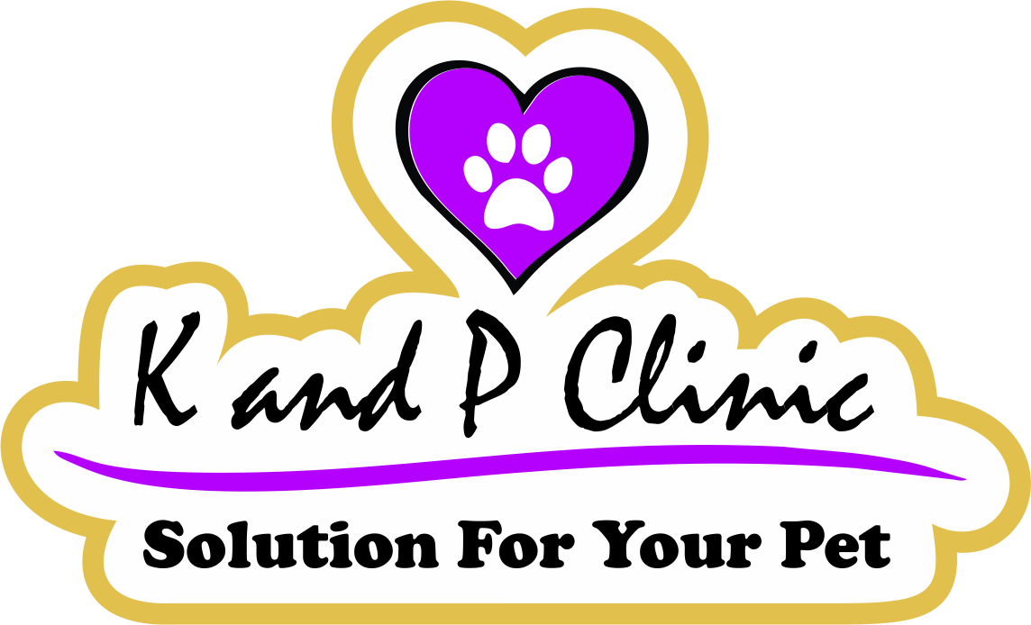 K and P Clinic